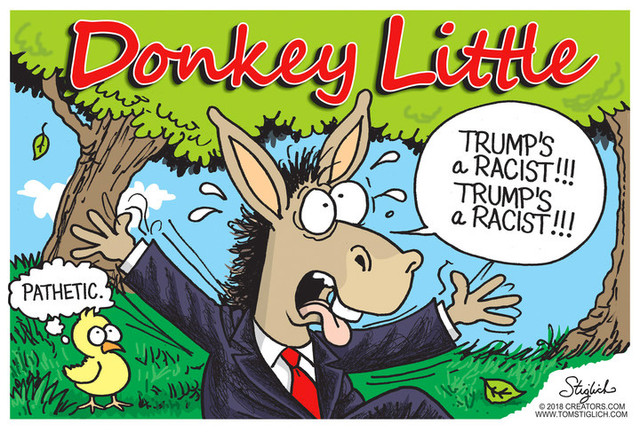 donkey-little_large.jpg