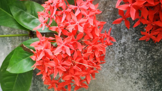 IMG_20220711_151604.jpg