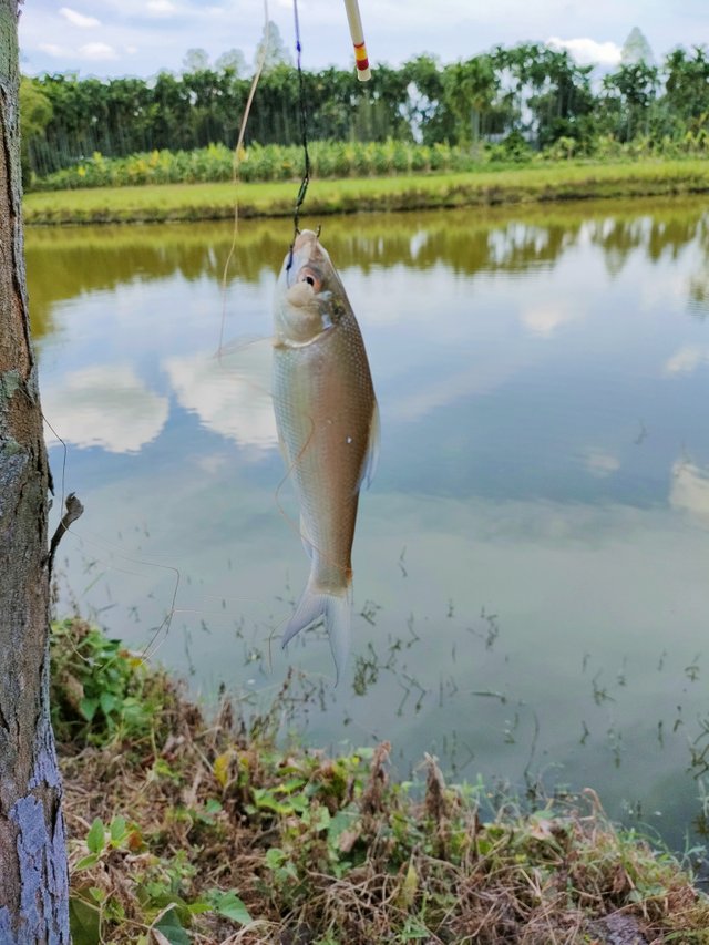 IMG_20220713_130614.jpg
