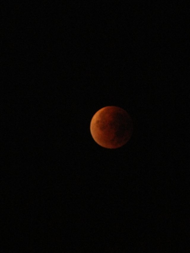IMG_20150928_050604.jpg
