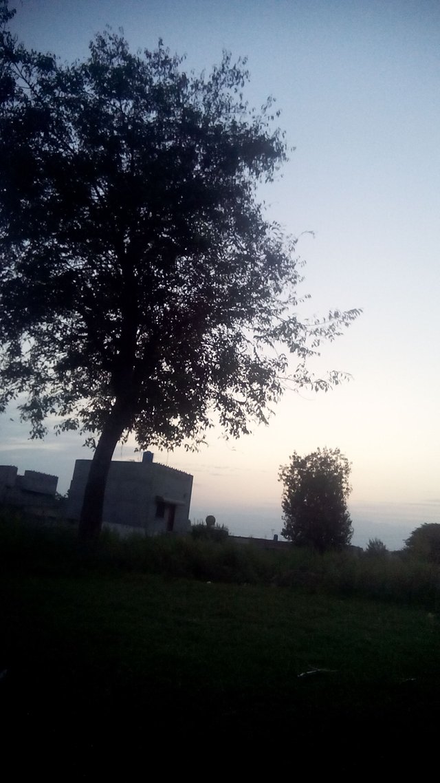 IMG_20190829_185106.jpg