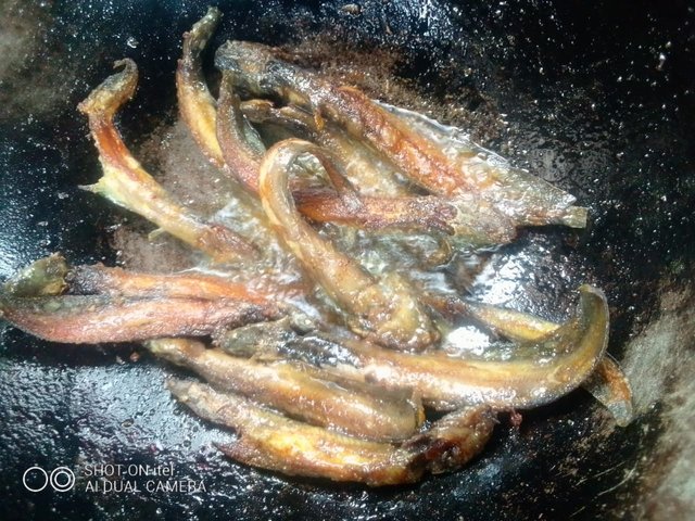 IMG-20230518-WA0010.jpg