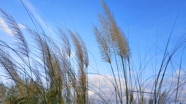 IMG_20220925_091625.jpg