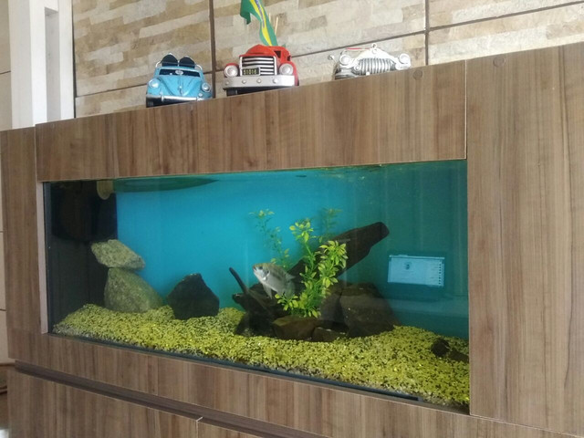 aquario_rogergalvao.jpg