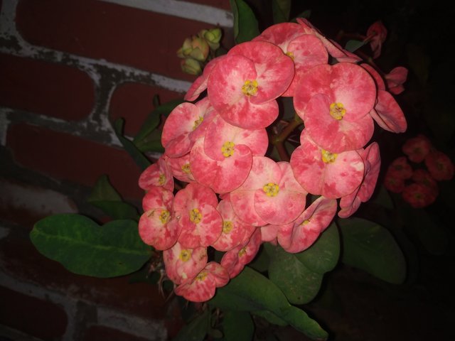 IMG_20220301_210826.jpg