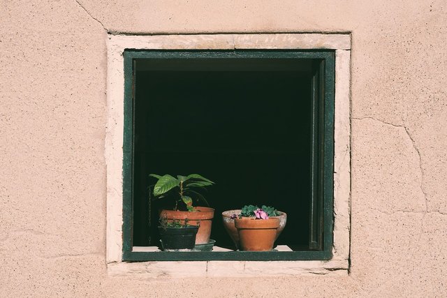 window-7209119_1280.jpg