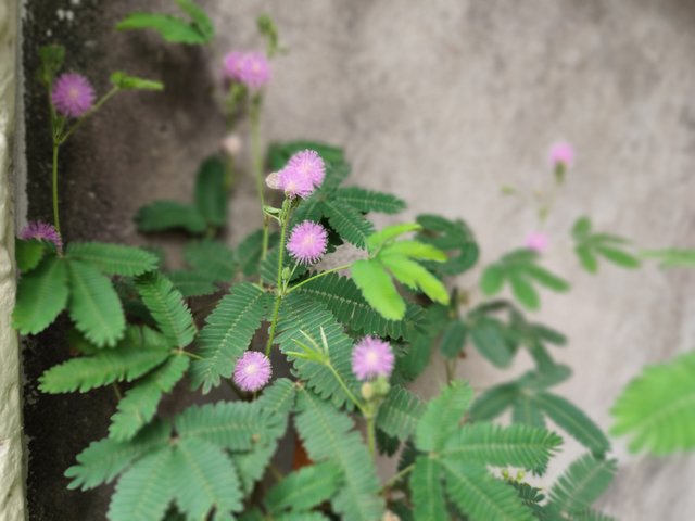 IMG_20250715_101126.jpg