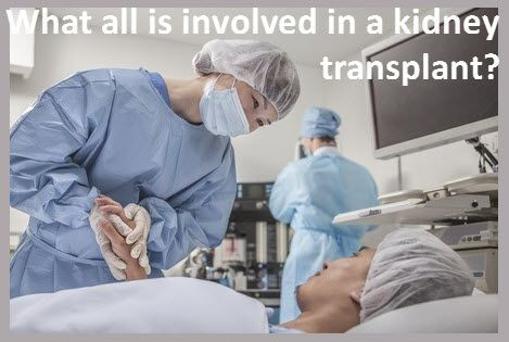 Kidney transplant.jpg