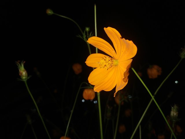 IMG_20220301_213014.jpg