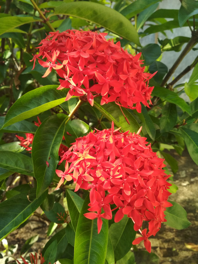 IMG_20180403_081728.jpg