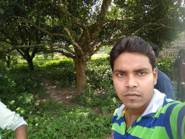 IMG_20170815_103401.jpg