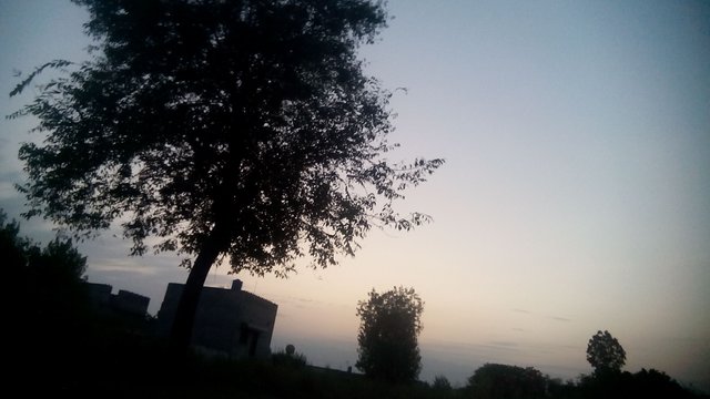 IMG_20190829_185130.jpg