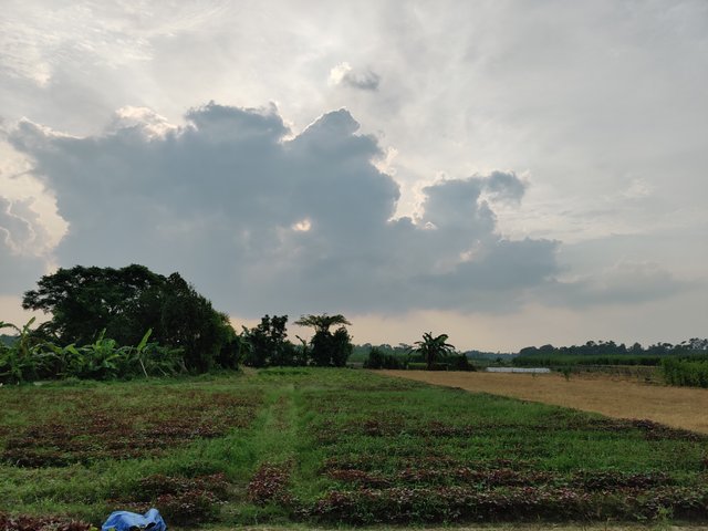 IMG_20200707_170330.jpg