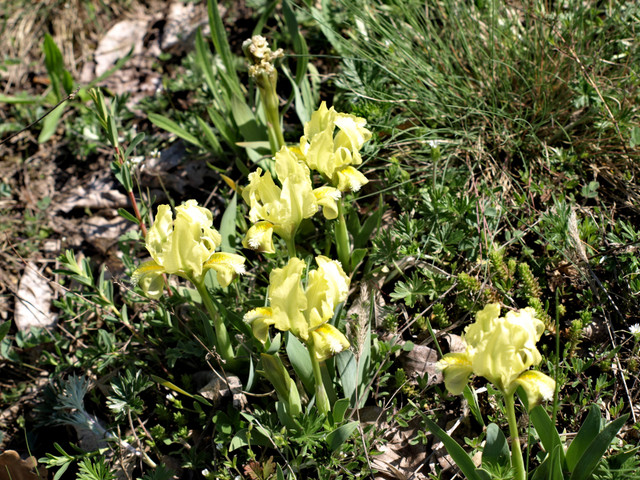 2010.04.17-18 001.jpg