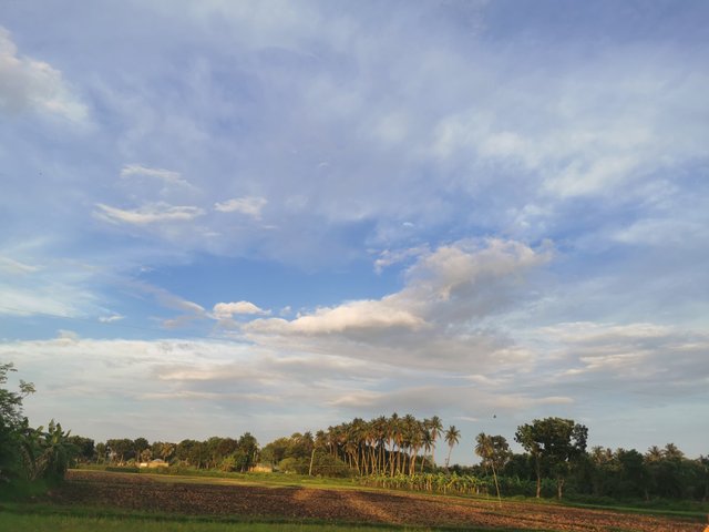 IMG_20240628_183541.jpg