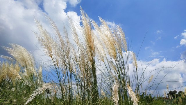 IMG_20220925_091914.jpg
