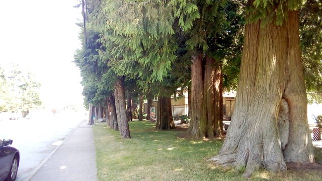 IMG_20190712_134636.jpg