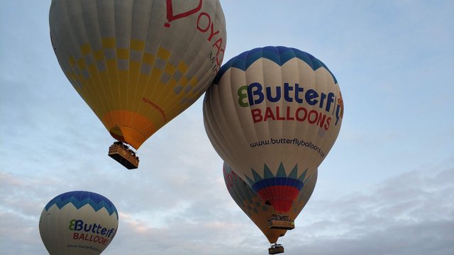 IMG_20191022_071715.jpg