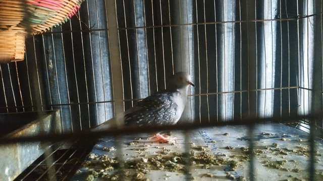IMG_20220926_130200.jpg