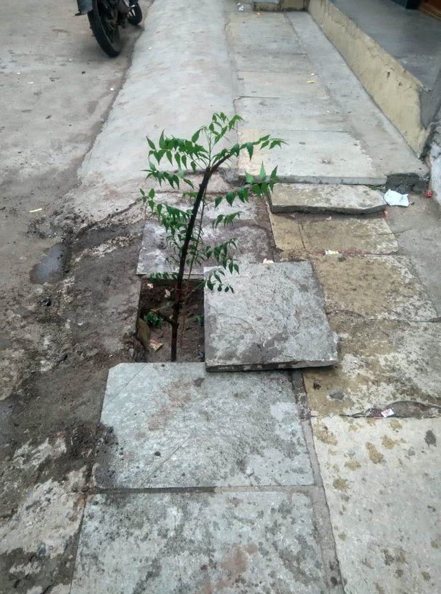 IMG-20180708-WA0055.jpg