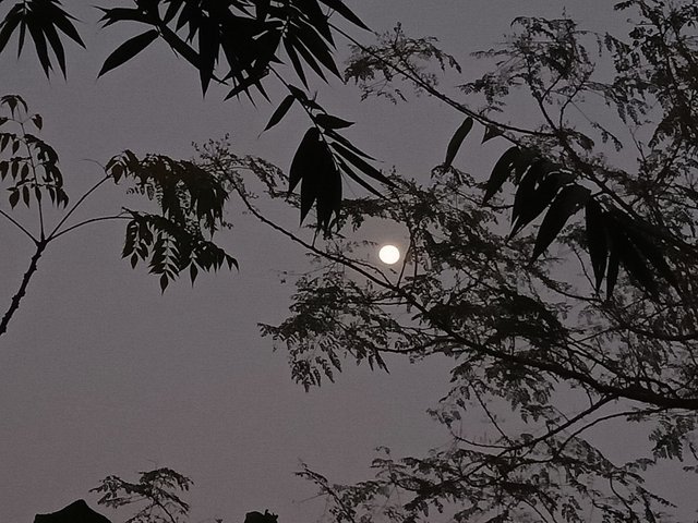IMG_20210126_195700.jpg