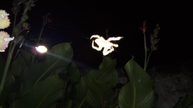 IMG_20191031_210648.jpg