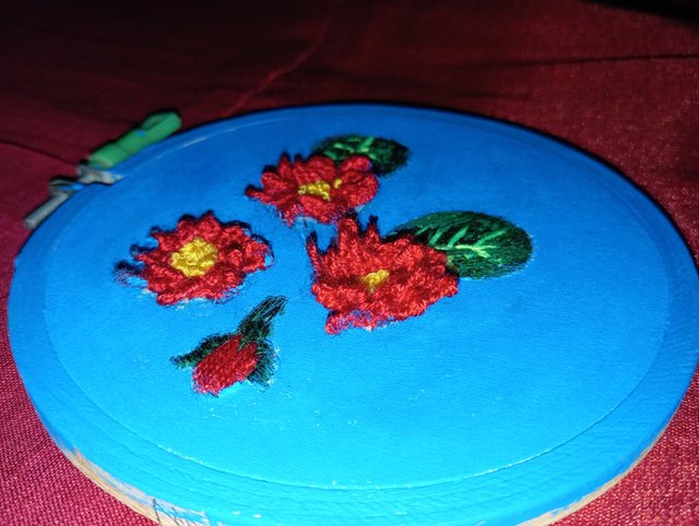 IMG_20240628_155657.jpg