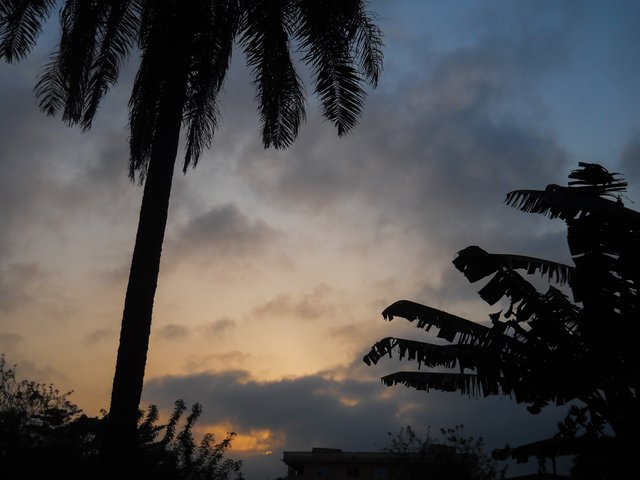 PSX_20190303_072814.jpg