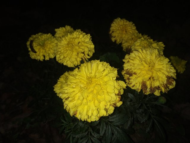 IMG_20220301_210730.jpg