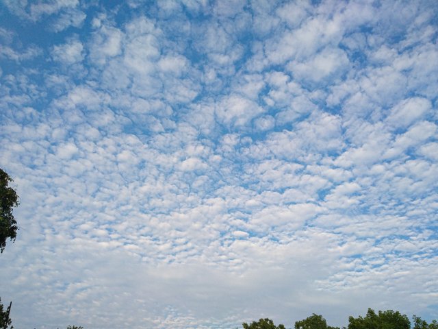 IMG_20230401_172057.jpg