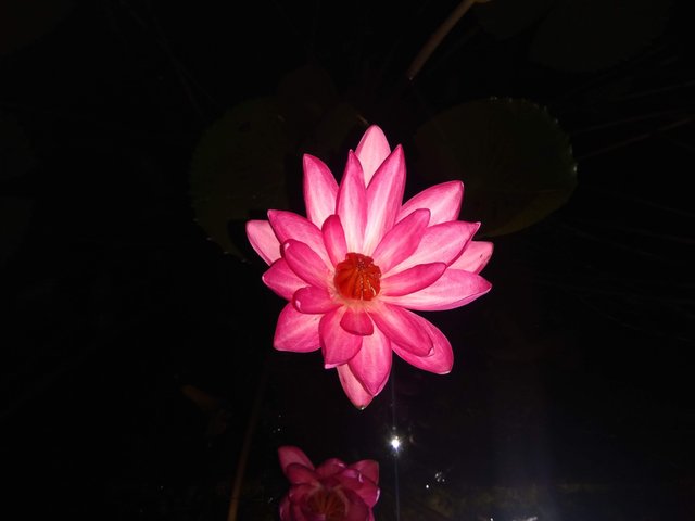 IMG_20181102_204635.jpg