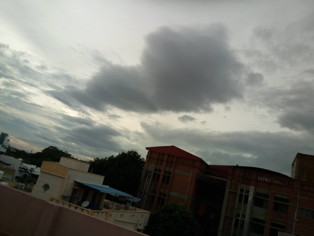 IMG_20180609_173429.jpg