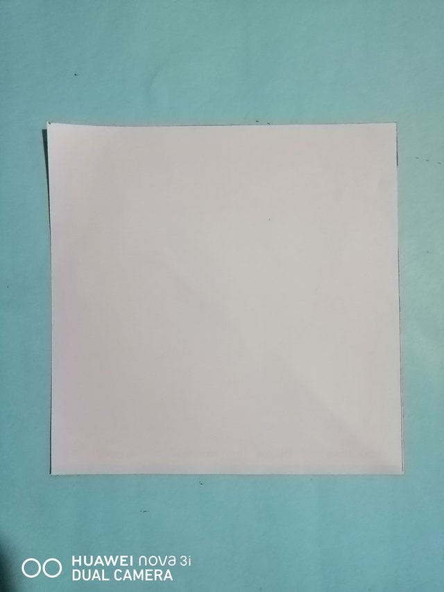 IMG_20220118_094017.jpg