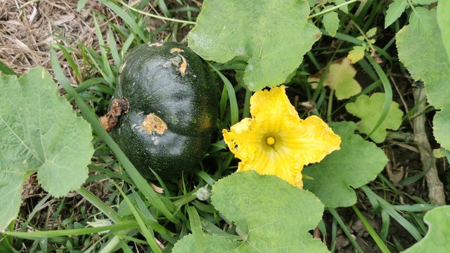 IMG_20231205_085749.jpg