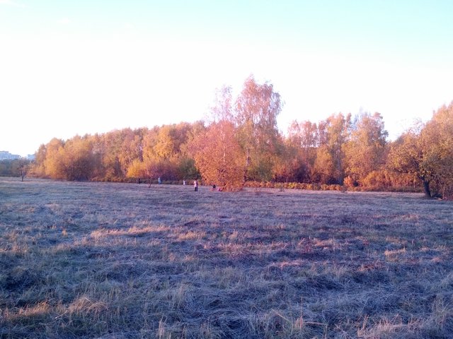 IMG_20181013_170932.jpg