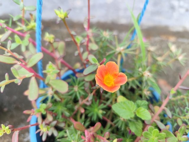 IMG_20250619_121720.jpg