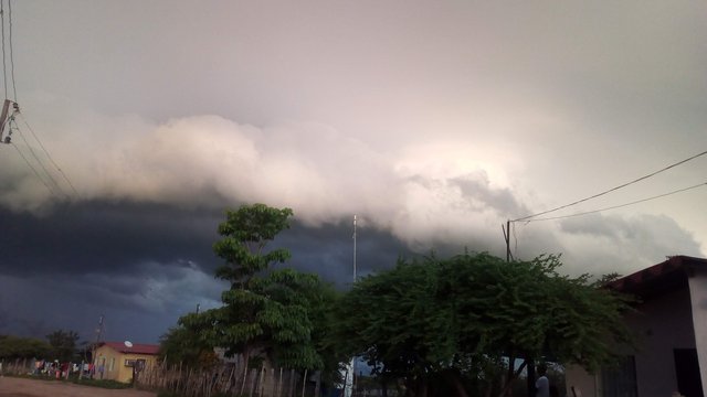 IMG_20190607_181909.jpg