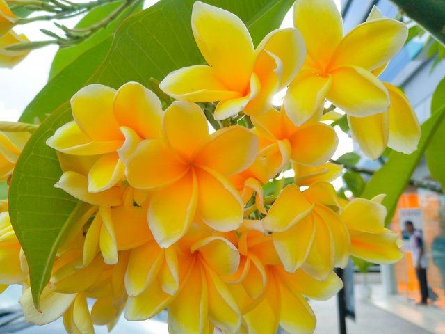 IMG_20210604_194316.JPG