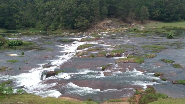 IMG_20180501_142931.jpg