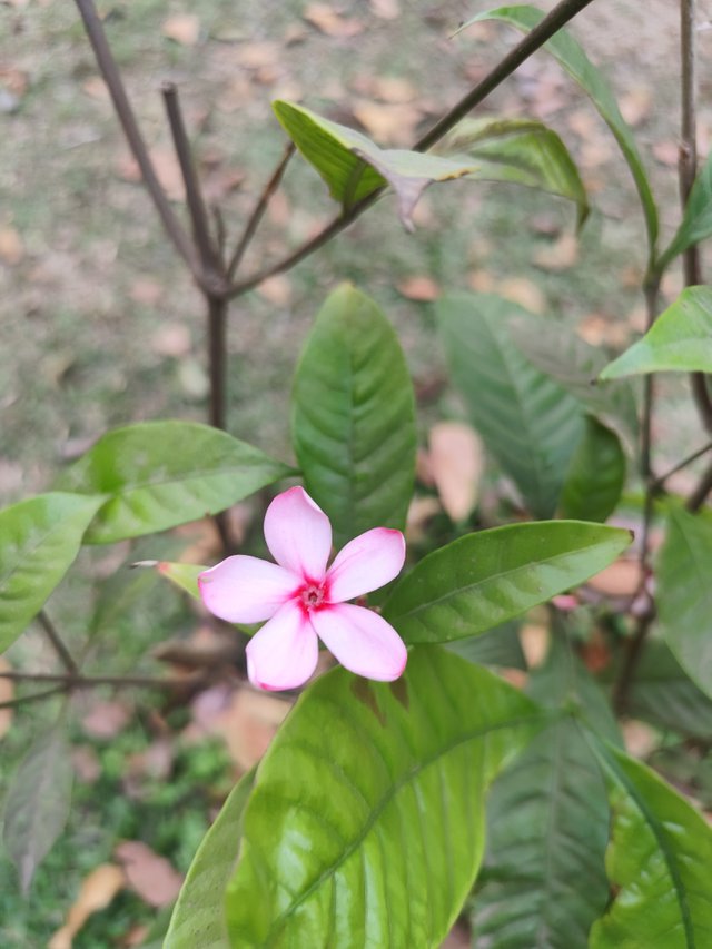 IMG_20250317_161823.jpg