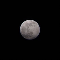 2021-04-26_19-17-19.jpg