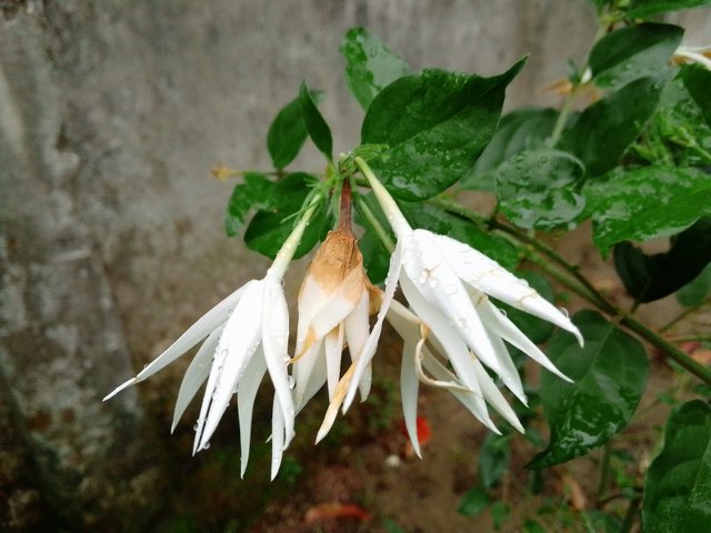 IMG_20211004_094906.jpg