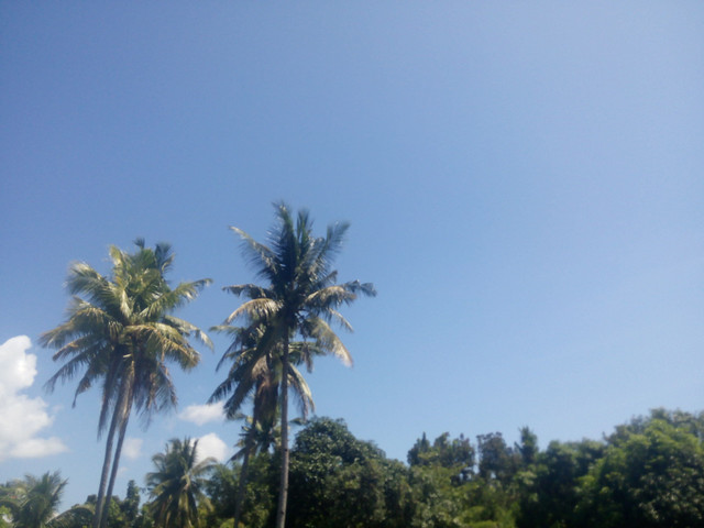 IMG_20180405_100147.jpg