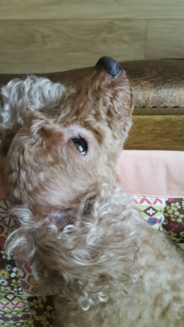 20160808_114235_634.jpg