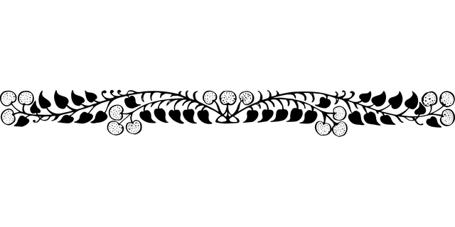 divider-5946462_640.png