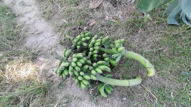 IMG_20240208_095745.jpg