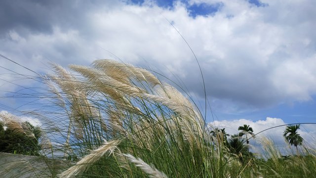 IMG_20220925_091935.jpg