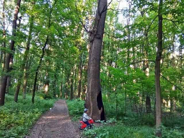 IMG_20180527_183449.jpg
