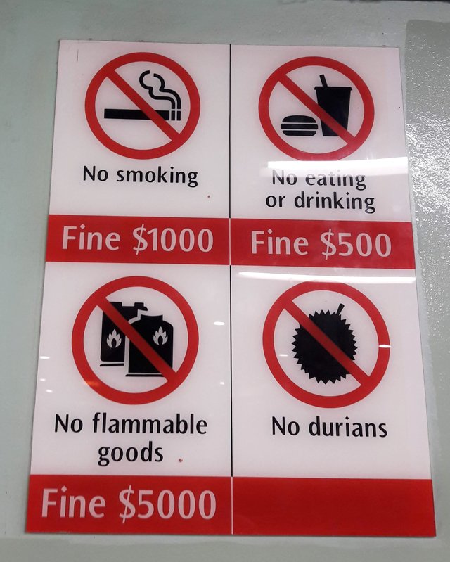 20190817_215833-01.jpeg