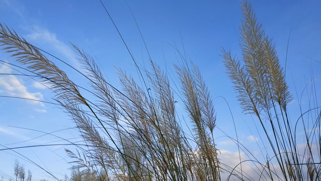 IMG_20220925_091559.jpg